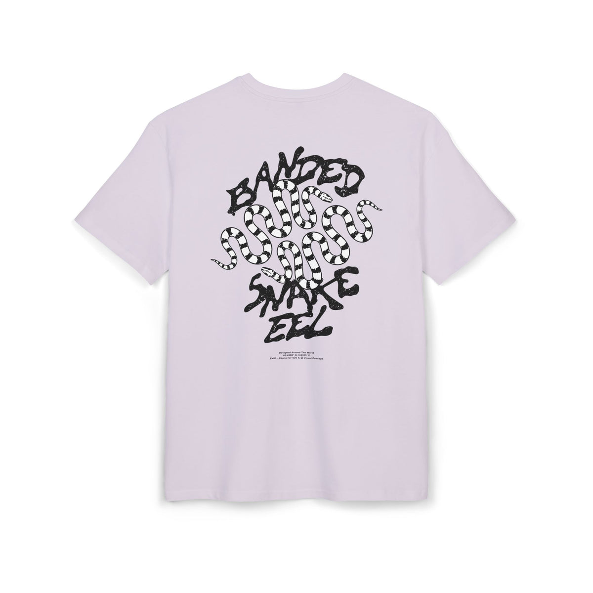 'Banded Snake' Oversize Tee —  Graphic Back Print